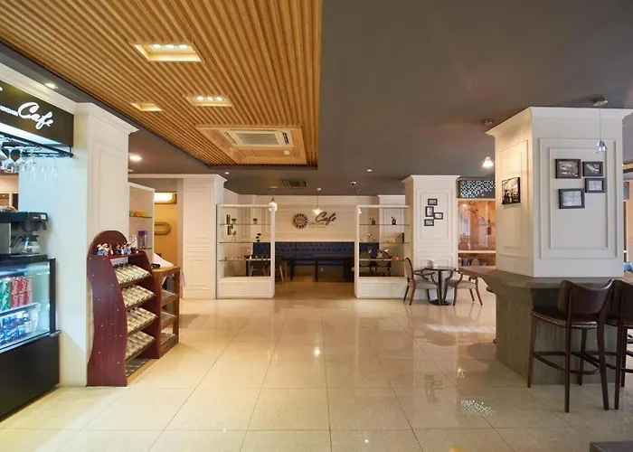Hotel Shin Shin 4*